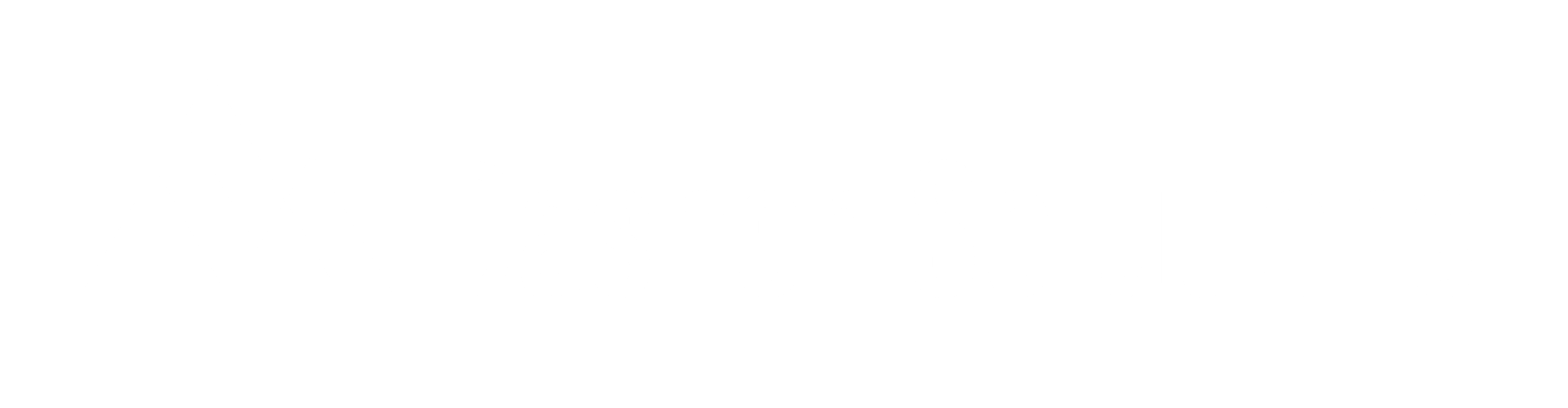 Dashen Solutions
